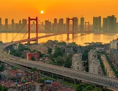 金年会官网入口-亚冠决赛高拉特伤情